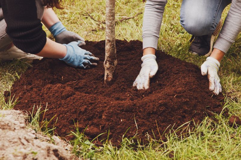 Dogwood Tree Planting Costs — Cost of Dogwood Tree Planting