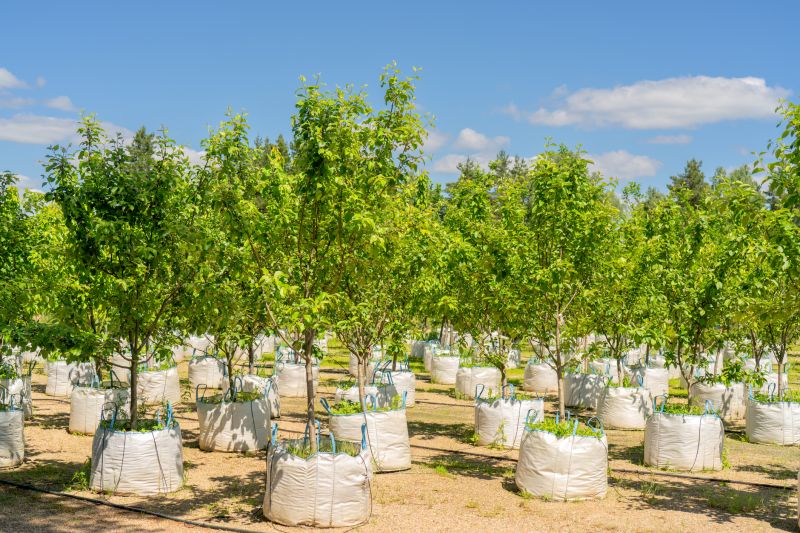 Dogwood Tree Planting Costs — Cost of Dogwood Tree Planting
