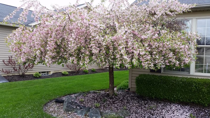 Nursery and Garden Centers